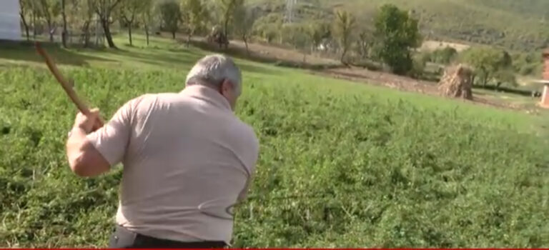 Ish minatori 30 vite nën tokë, por nuk u vlerësuam kurrë