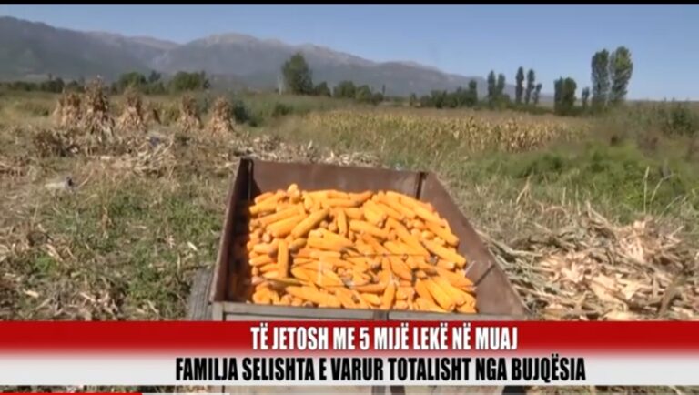 Dibër/ Të jetosh me 5 mijë lekë në muaj, familja Selishta e varur totalisht nga bujqësia