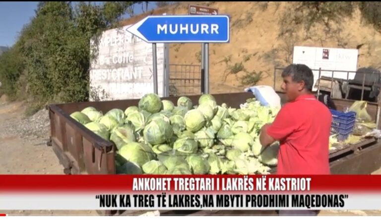 Dibër/ Vit i mbarë për lakrën e Kastriotit por mungon tregu