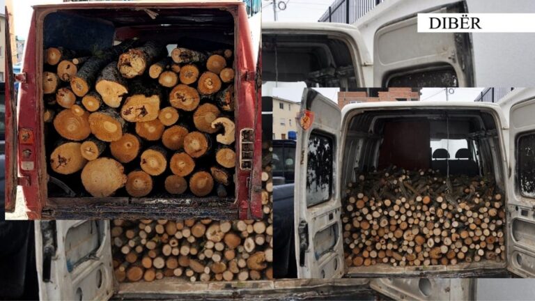 Dibër/ Transportonin lëndë drusore të prera në mënyrë të paligjshme, procedohen penalisht 2 autorët