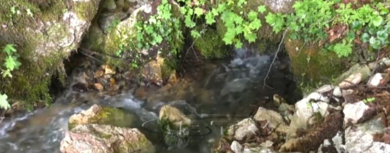 Banorët e fshatit Gurë i Bardhë në protestë për burimet ujore