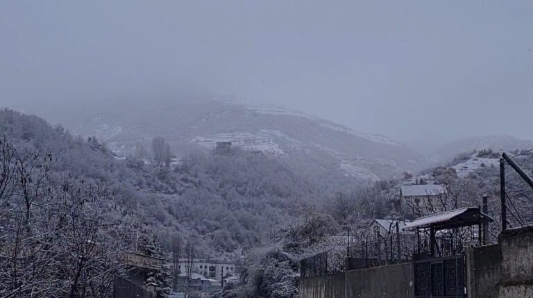 Reshje bore në Peshkopi