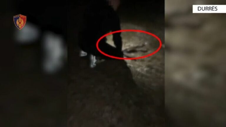 Me kallashnikov pa leje kryenin qitje gjatë natës dhe postonin videot në TikTok, 6 të arrestuar në Durrës