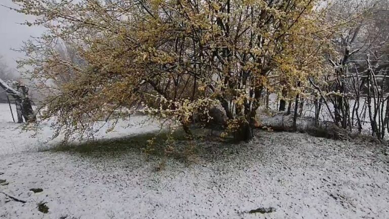 Borë në pranverë! Zbardhet Bulqiza, drejtuesit e automjeteve duhet të kalojnë me zinxhirë