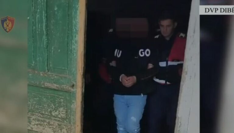 EMRI/ Vodhi 3 automjete dhe 12 targa, arrestohet 22-vjeçari në Dibër, dyshohet se përdoreshin nga…