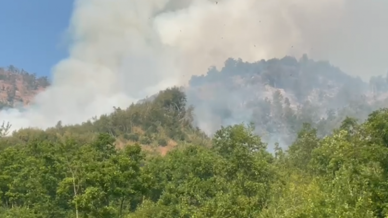 Vijon digjet prej 15 ditësh mali i Valikardhës në Bulqizë, shkrumbohen rreth 50 hektarë pyje ahu dhe pishe