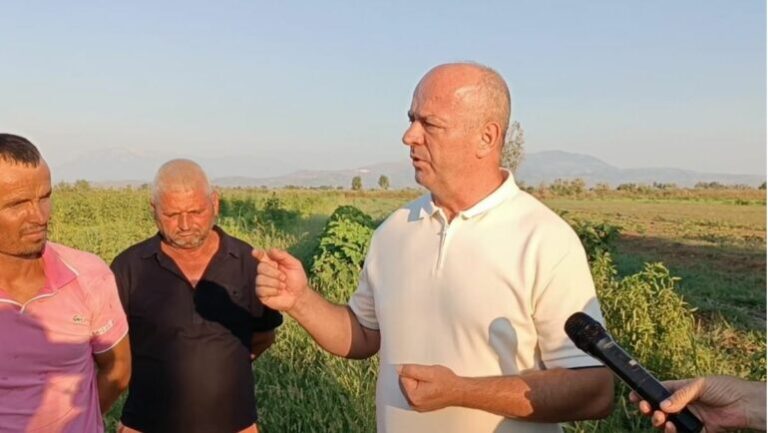 PD premton: Do dyfishojmë mbështetjen për fermerët sapo të vijmë në pushtet