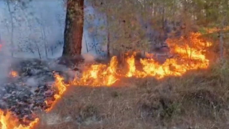 Aktivizohet vatra e zjarrit në malin “Vlashaj” të Shupenzës në Bulqizë, situatë kritike dhe në disa zona