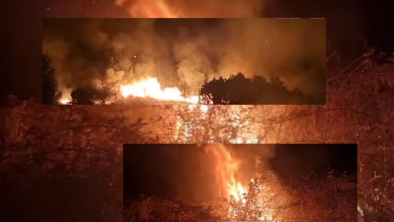 Dibër/ Zjarr i madh përfshin disa hektarë në Zerqan, dyshohet i qëllimshëm