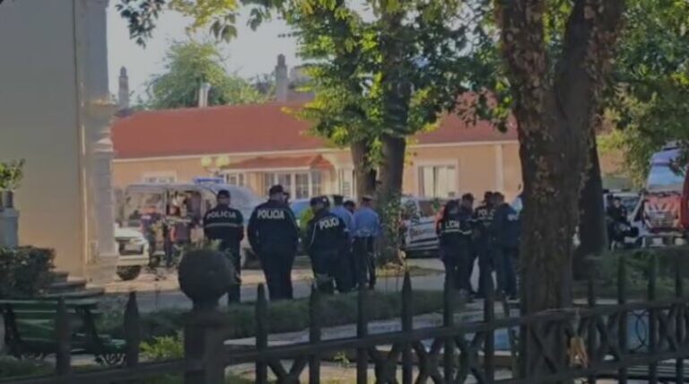 Protesta e opozitës, dhjetra efektivë policie në gatishmëri te selia e Parlamentit