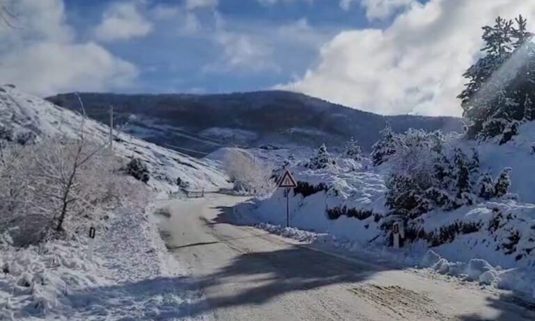 Situata dimërore, prefekti Shehu: thuajse të gjithë fshatrat janë hapur