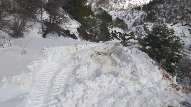 Bulqiza nën ‘pushtimin’ e ngricave dhe erërave të forta, temperaturat e ulëta sjellin vështirësi në qarkullimin e mjeteve