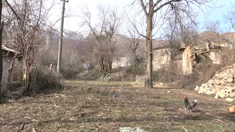 Bulqizë/ Fshati Zogjaj në gjendje të mjerueshme/ Banorët: Bashkia na ka harruar