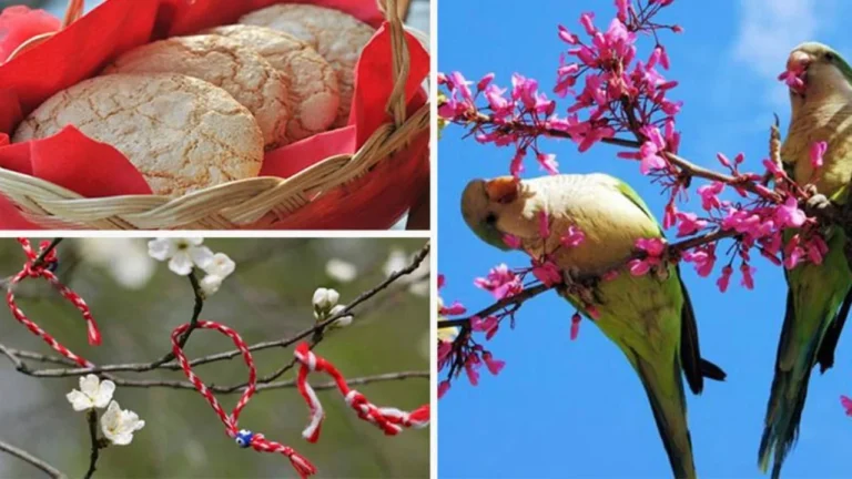 Sot “Dita e Verës”/ Çfarë simbolizon festa pagane e ballokumeve dhe kuptimi i verores