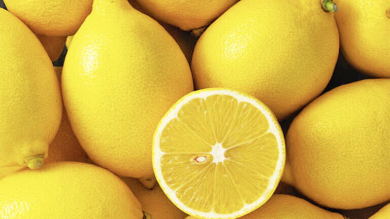 Vitaminat që gratë duhet të marrin çdo ditë