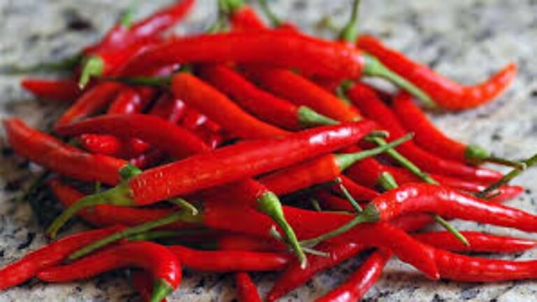 Kapen sërish perime me pesticide nga Shqipëria, Kroacia bllokon 8 mijë kg speca të kuq djegës të Divjakës